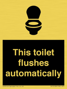 This toilet flushes automatically